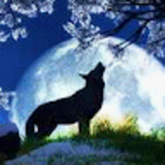 Meet your Posher, Clint - Picture 1 of 1